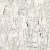 Antica  Whitewash W907-01